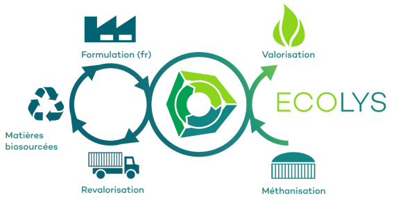 EcoLys process